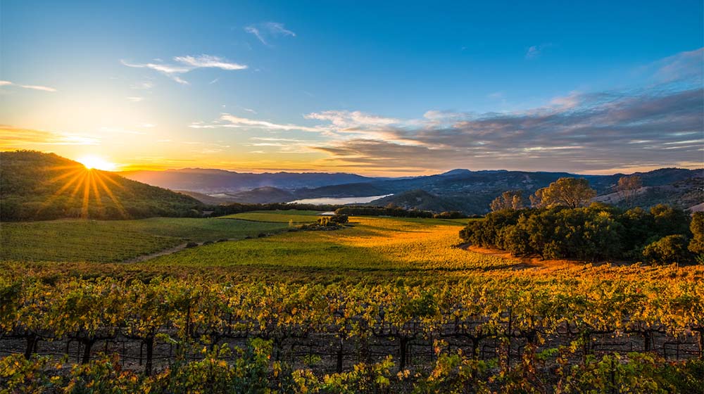 Chappellet Vineyard Sunset (Photo Courtersy of Visit Napa Valley)