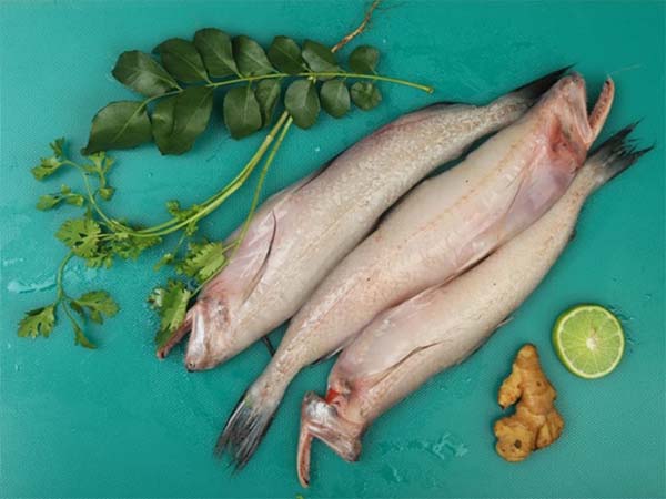How to Buy and Cook Fish