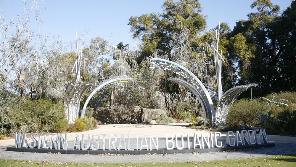 King’s Park and Botanic Garden