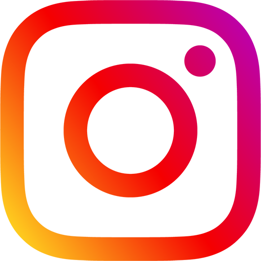 What happens to your social media accounts after you die - Instagram icon