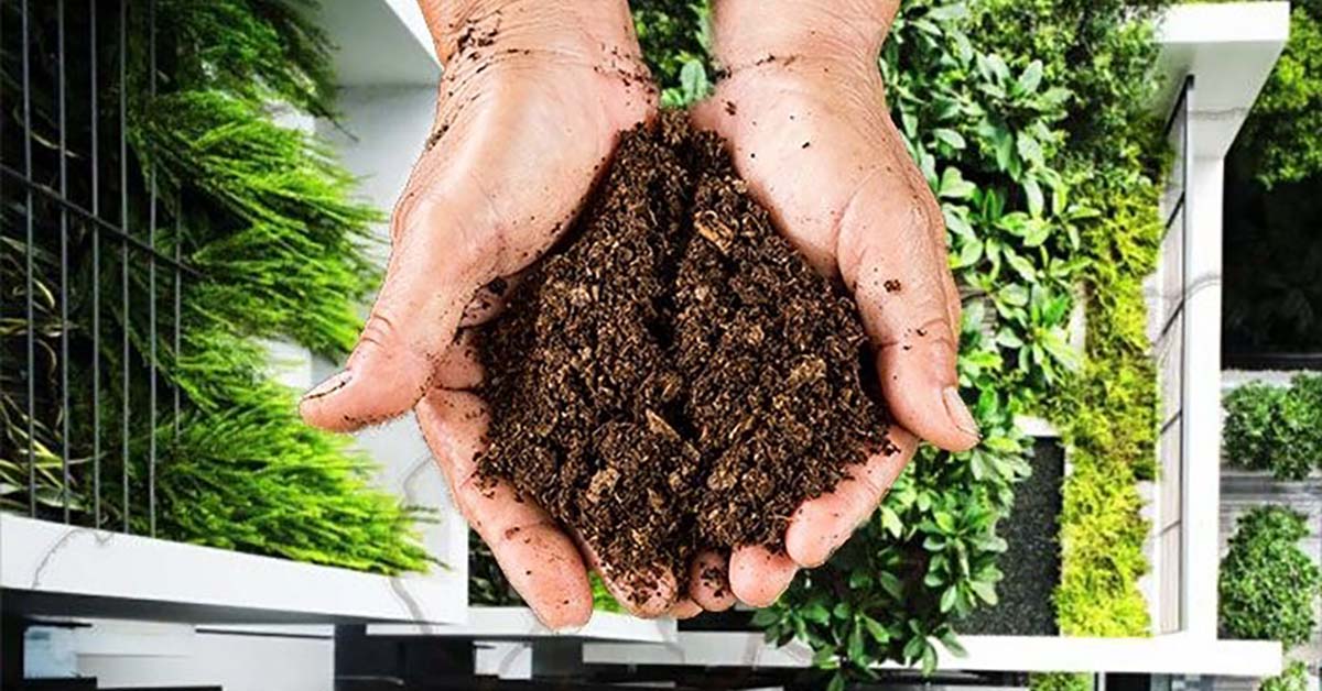 3 easy steps to start composting at home