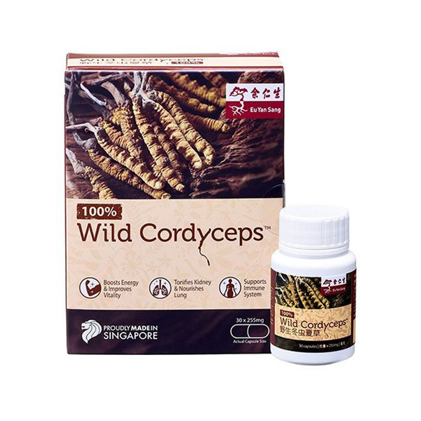 3 TCM Superfoods for that Energy Boost - Wild Cordyceps Capsule