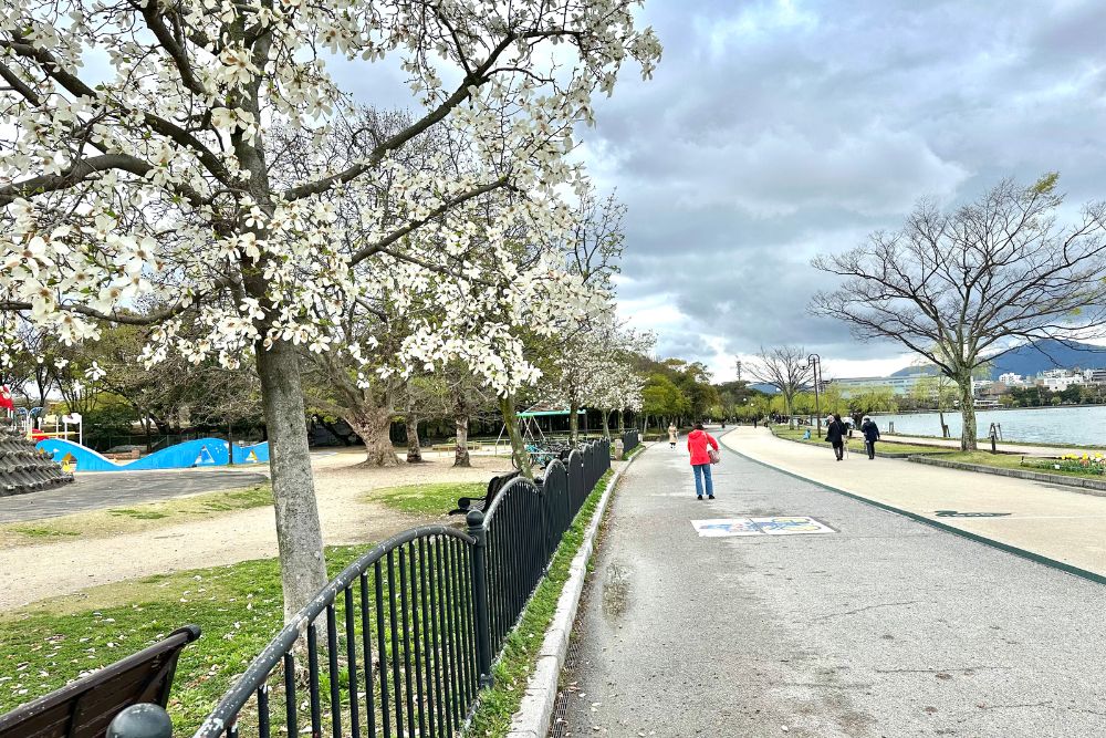 Explore Fukuoka’s Unique Charms By Car - Ohori Park