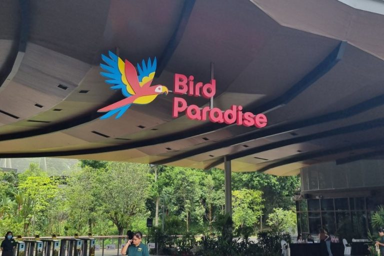 Bird Paradise: What To Expect From Mandai’s Newest Wildlife Park ...