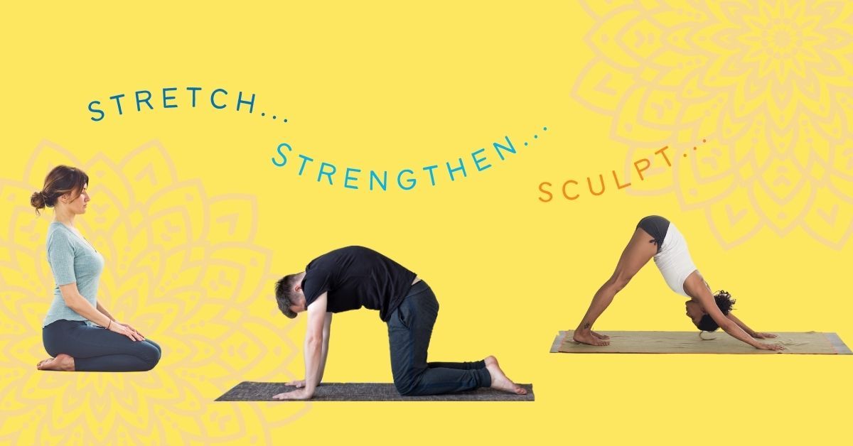 A Quick Guide to Yoga for All: Helping Silvers Stay Sharp and Supple