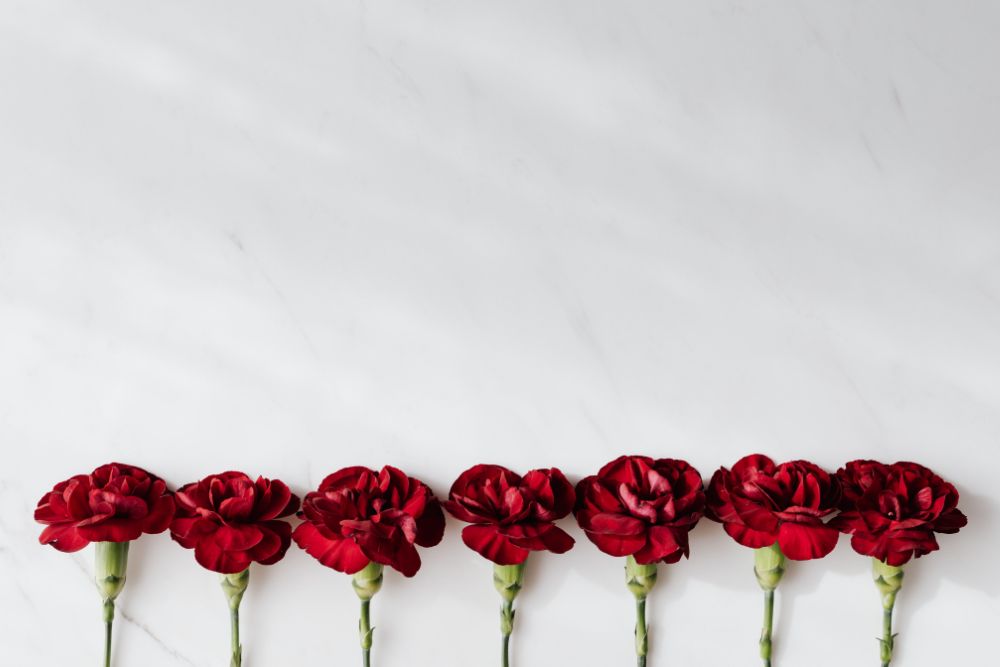 Reflections on Dying with Dignity - Carnations