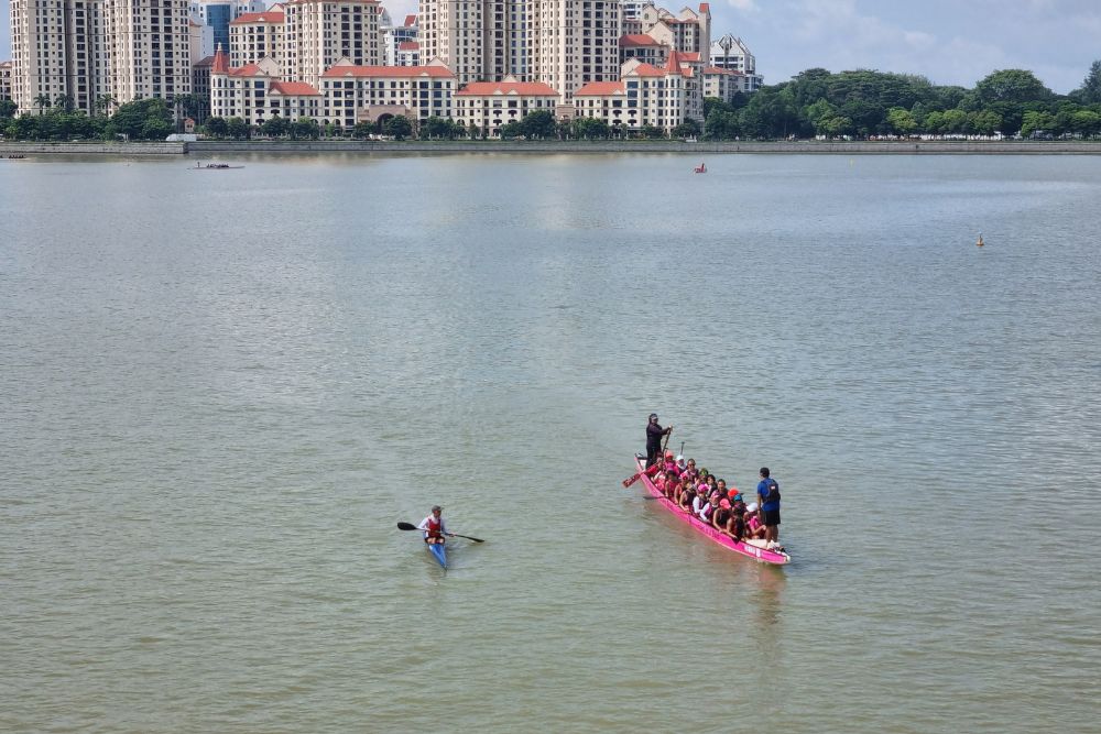 'Mothers, Survivors, Paddlers': The BCF Paddlers In The Pink Dragon Boating Team Row For Hope - Pushing limits