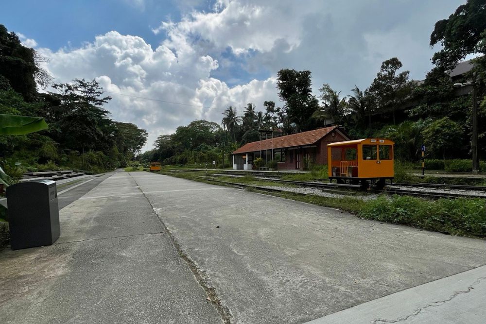 Aim For Rifle Range Park Where There’s A Trek For Everyone - Bukit Timah Rail Station