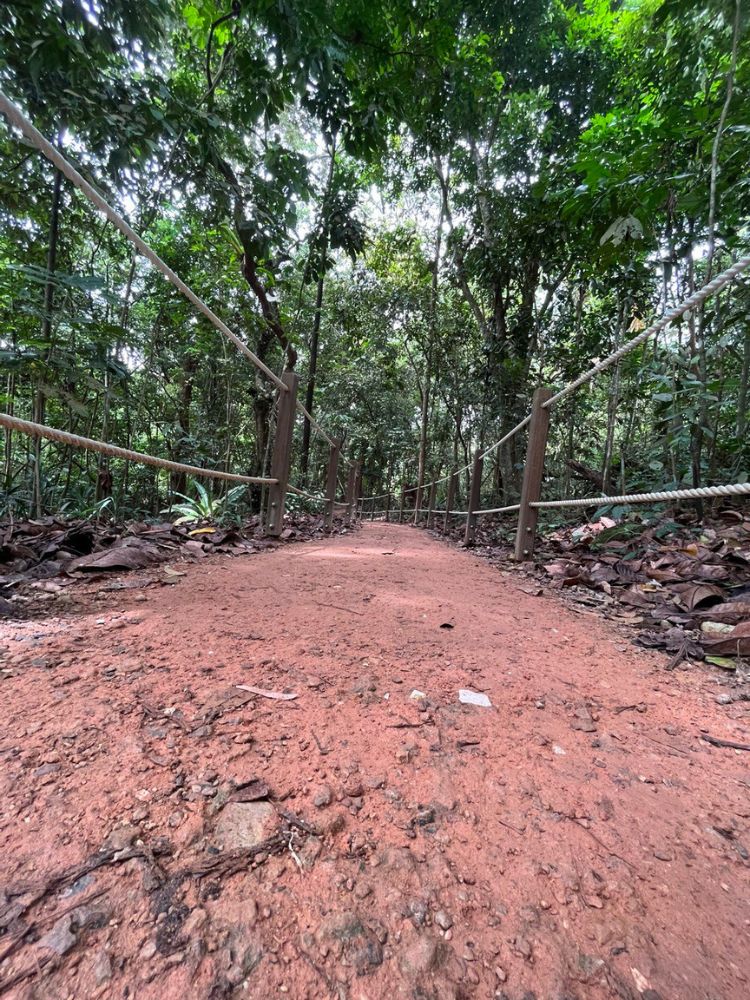 Aim For Rifle Range Park Where There’s A Trek For Everyone - Gaharu Trail
