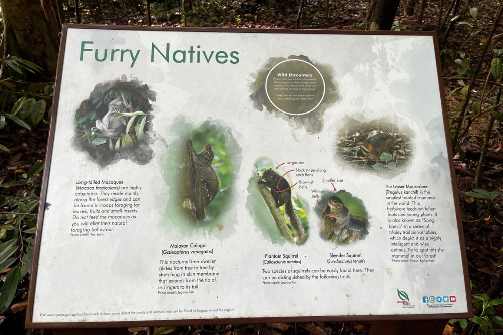 Enjoy An Easy Walk Along the Lower Peirce and Upper Peirce Trek - The Furry Natives