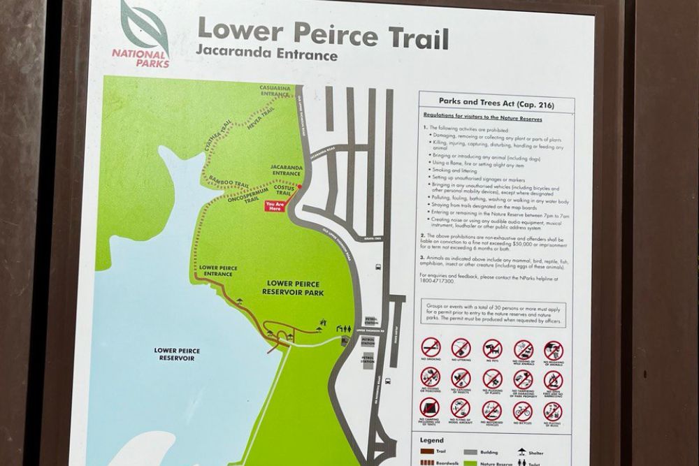 Enjoy An Easy Walk Along the Lower Peirce and Upper Peirce Trek - Lower Peirce Trail Map