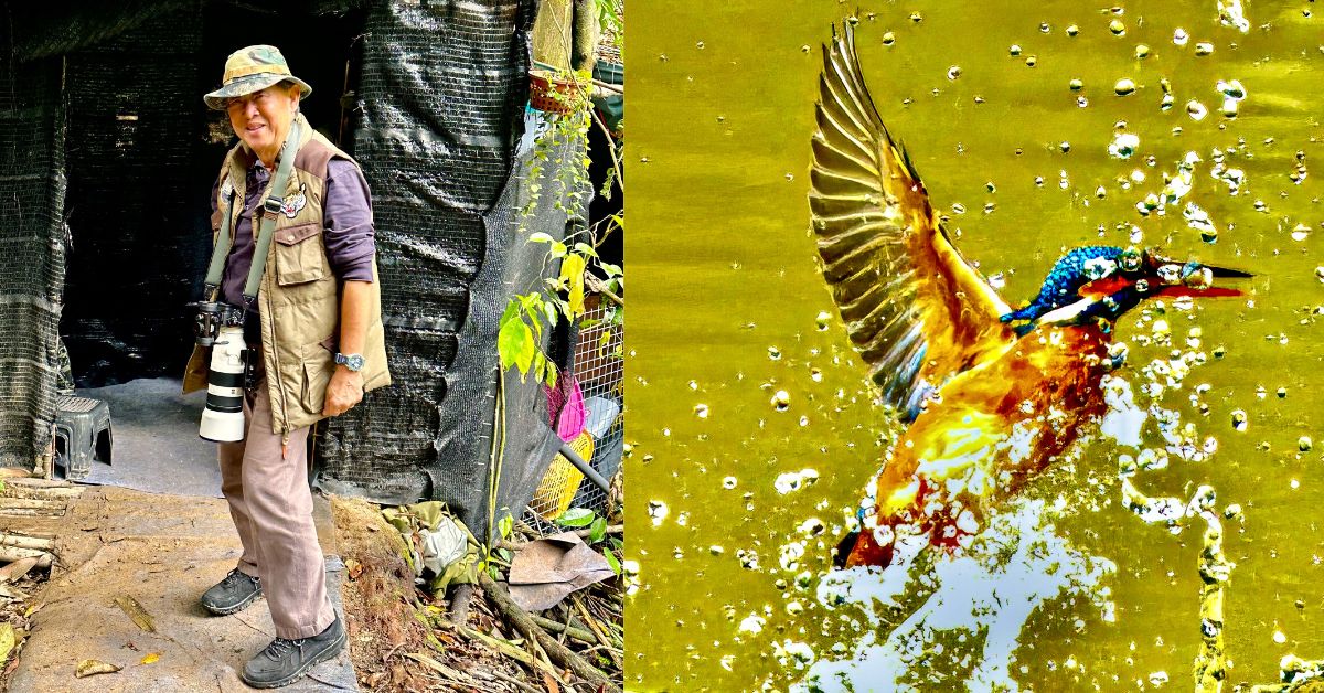 Lim Soon Hock Shares a Bird’s Eye Perspective of Balancing Work and Birdwatching
