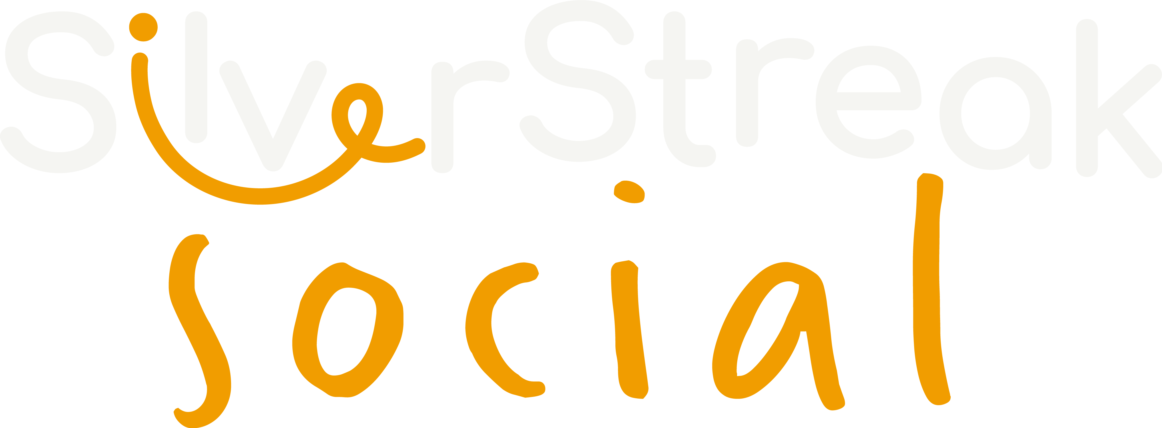 SilverStreak Social Logo