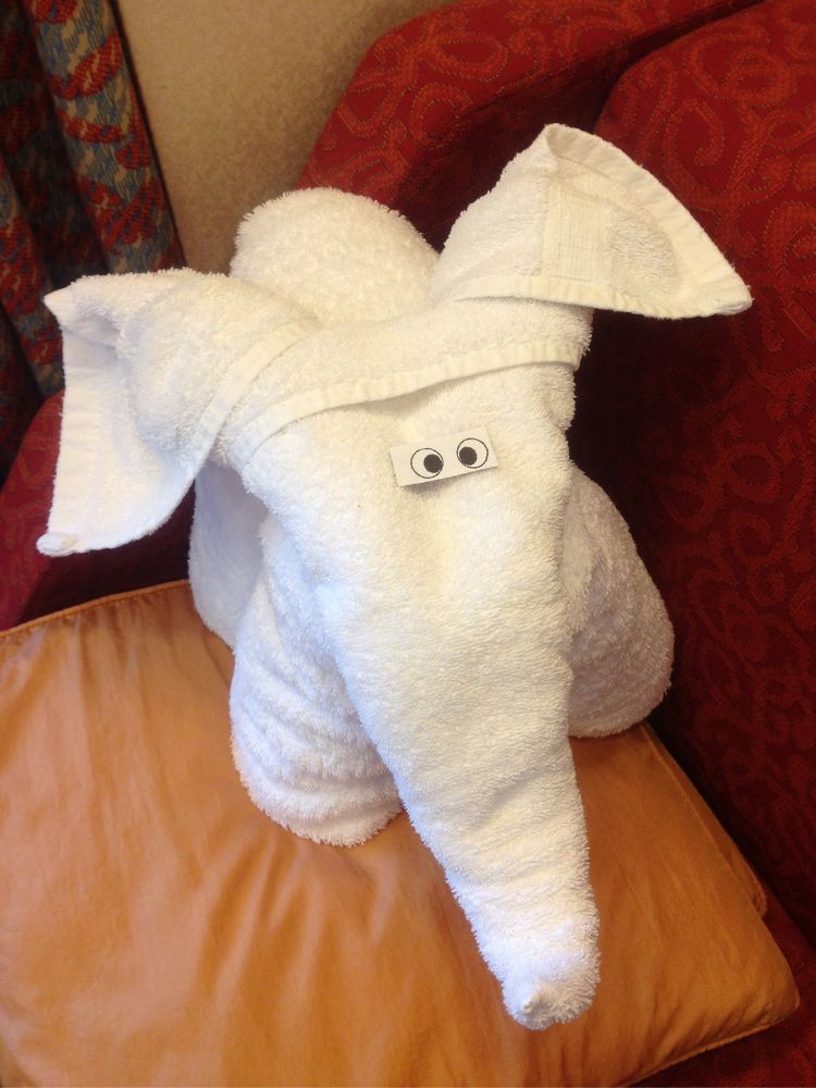Find the Perfect Cruise for Your Next Holiday - Ship Towel Art