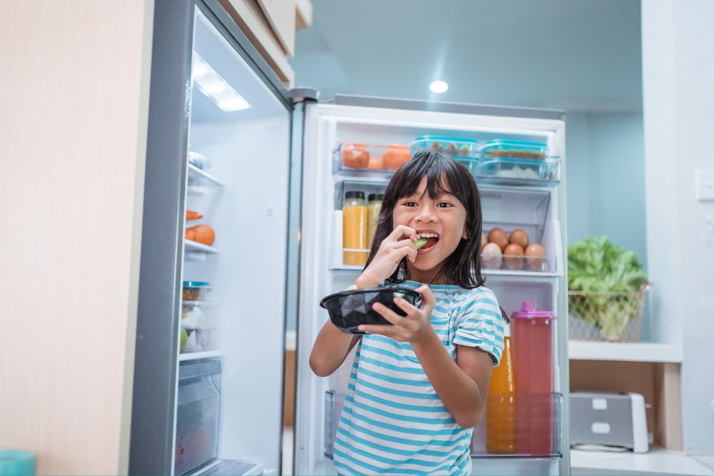 Life & Living: Eco-Friendly Household Appliances To Spend Your $300 Climate Vouchers On -Refrigerators