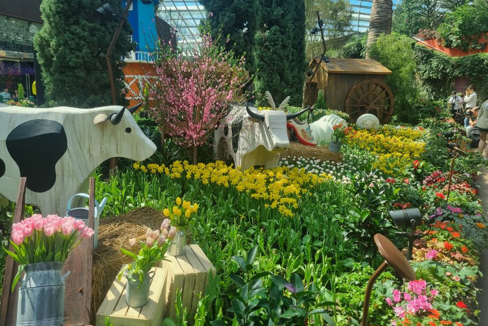 Tulipmania 2024 At Gardens By The Bay Calls Back To The Netherlands With 54,000 Tulips Planted In Eye-Catching Rows - Farm House