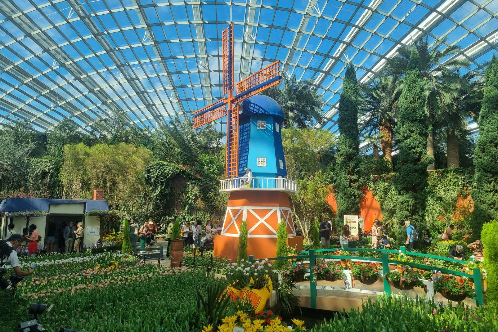 Tulipmania 2024 At Gardens By The Bay Calls Back To The Netherlands With 54,000 Tulips Planted In Eye-Catching Rows - Windmill
