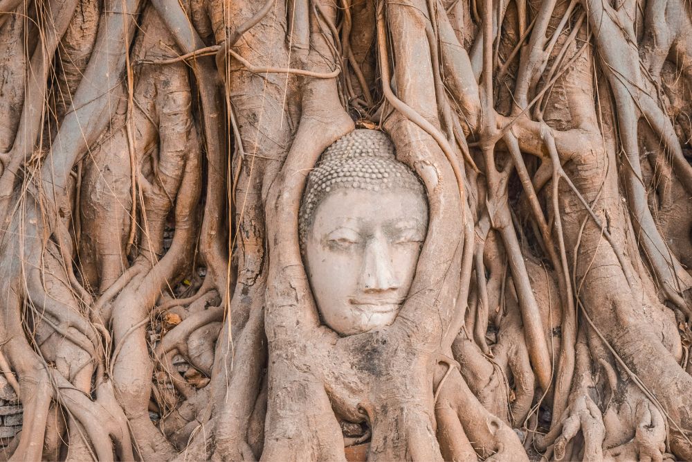 Places To Visit In Thailand Besides Bangkok - Ayutthaya Buddha Head