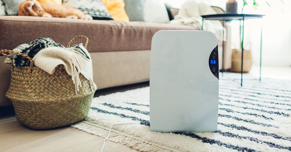 Top Picks For Dehumidifiers That Won’t Leave You Feeling Hot Under The Collar