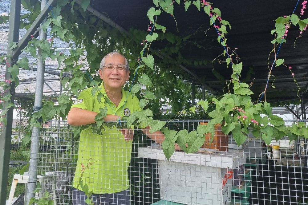 Bee Amazed Garden: Retired Educator-Turned-Apiarist Hopes To See Pet Bees In Every Home In Singapore - Intro