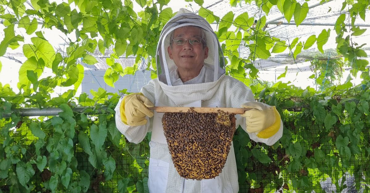 Bee Amazed Garden: Retired Educator-Turned-Apiarist Hopes To See Pet Bees In Every Home In Singapore