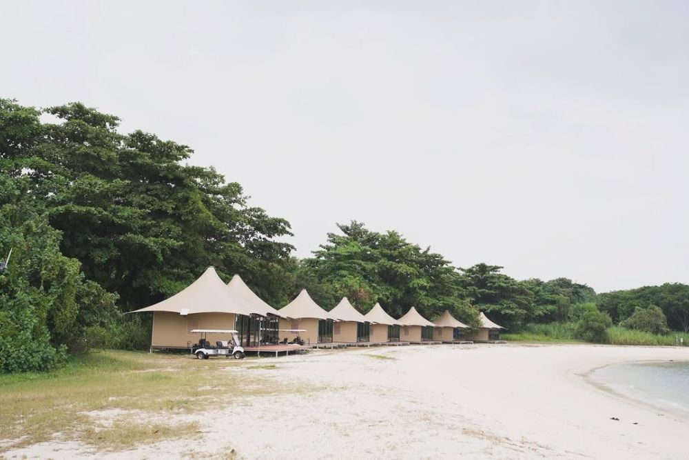 7 Fun School Holiday Staycations & Vacations To Spend Time With Grandkids - Into the Woods