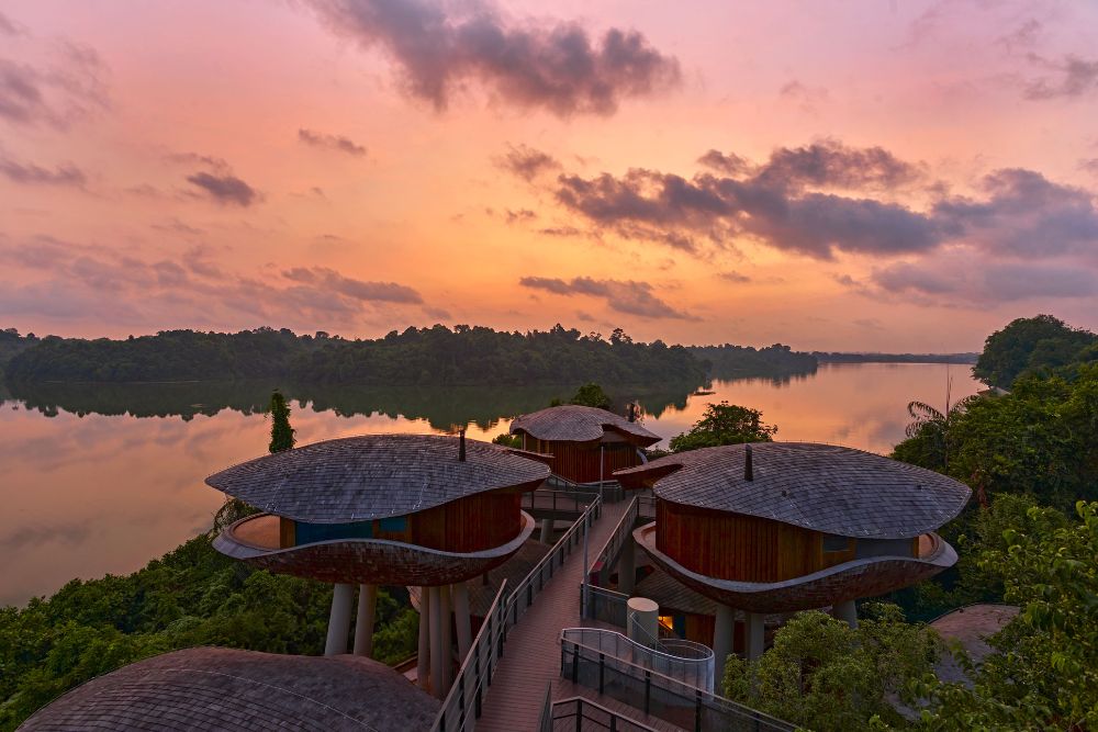 7 Fun School Holiday Staycations & Vacations To Spend Time With Grandkids - Mandai Rainforest Resort by Banyan Tree
