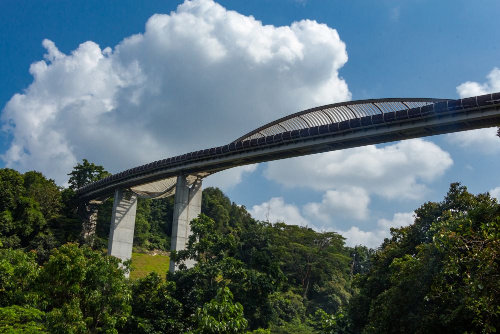 Wheelchair-Friendly Nature Havens Accessible To All - Henderson Waves