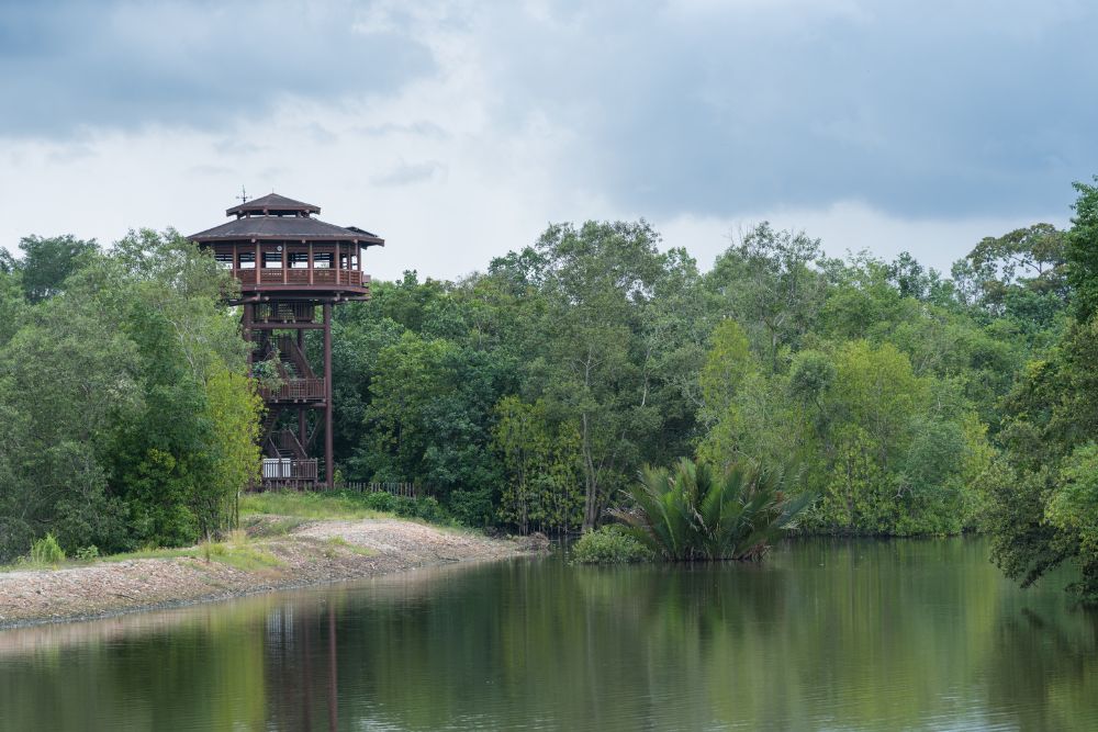 Wheelchair-Friendly Nature Havens Accessible To All - Sungei Buloh Coastal Trail