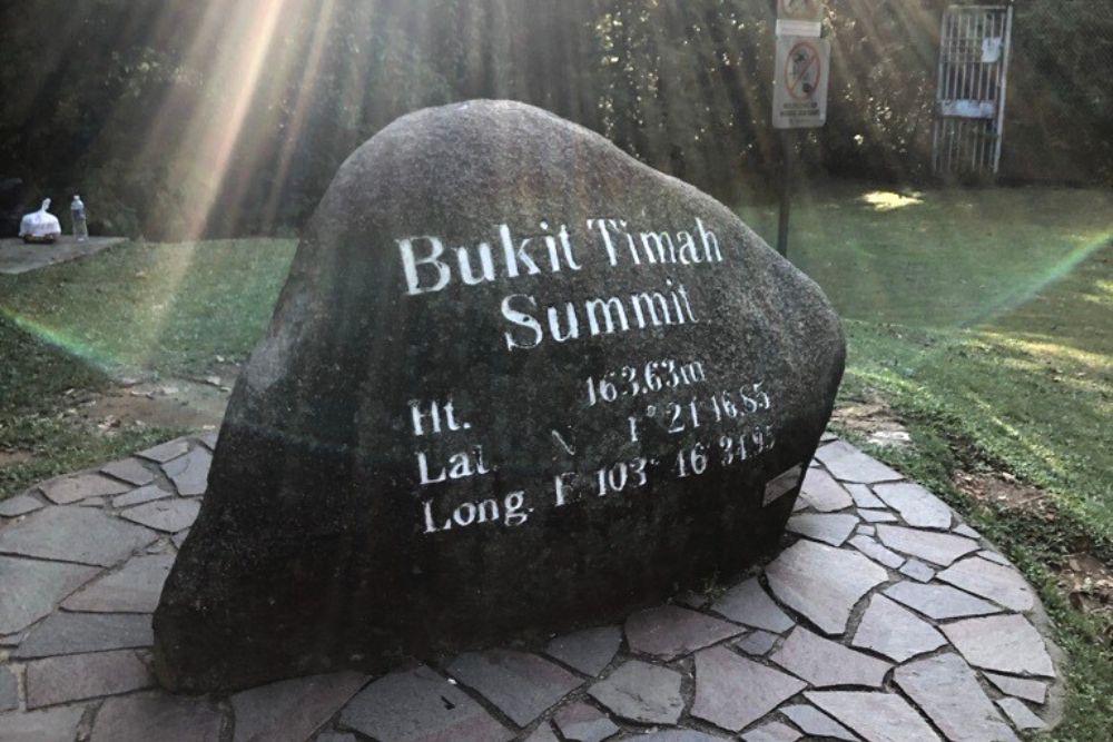 Singapore Seniors Might Win Gold If Climbing Up Bukit Timah Hill Was An Olympic Event - Bukit Timah Hill