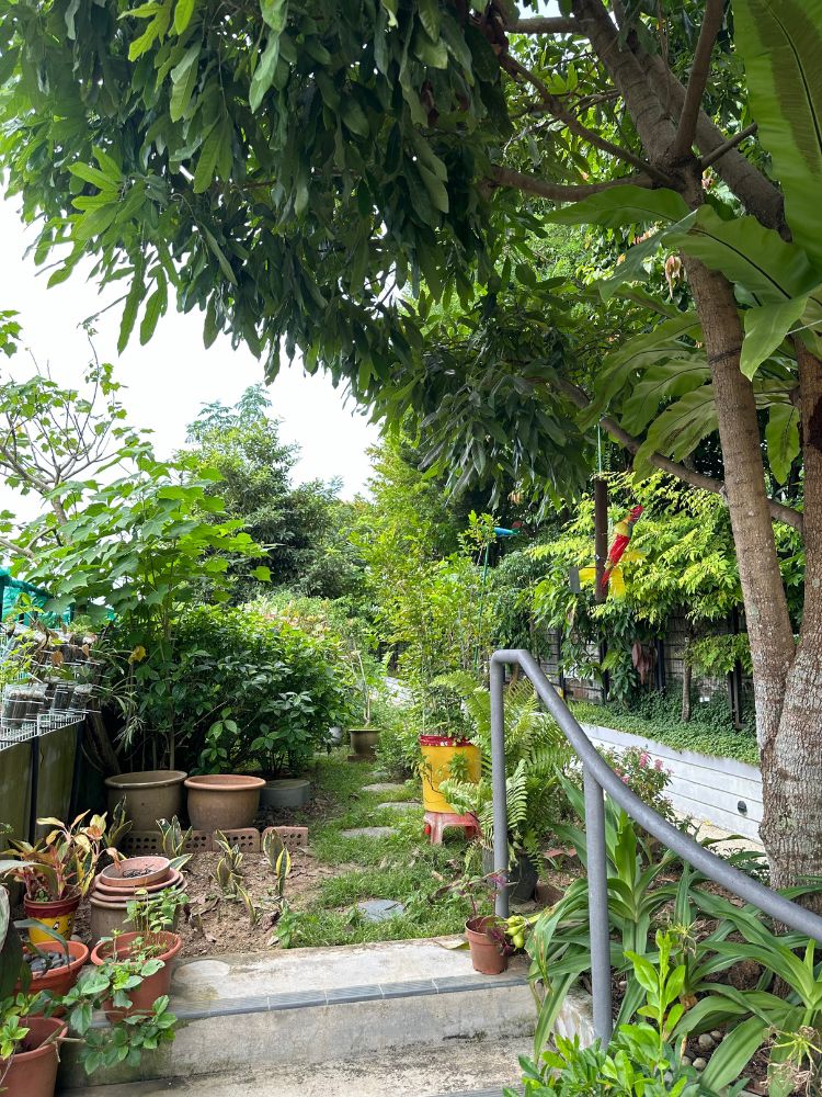 Kampung Admiralty: Is This Award-Winning Integrated Complex By HDB The Prototype For Future Retirement Villages? - Kampung Admiralty rooftop garden