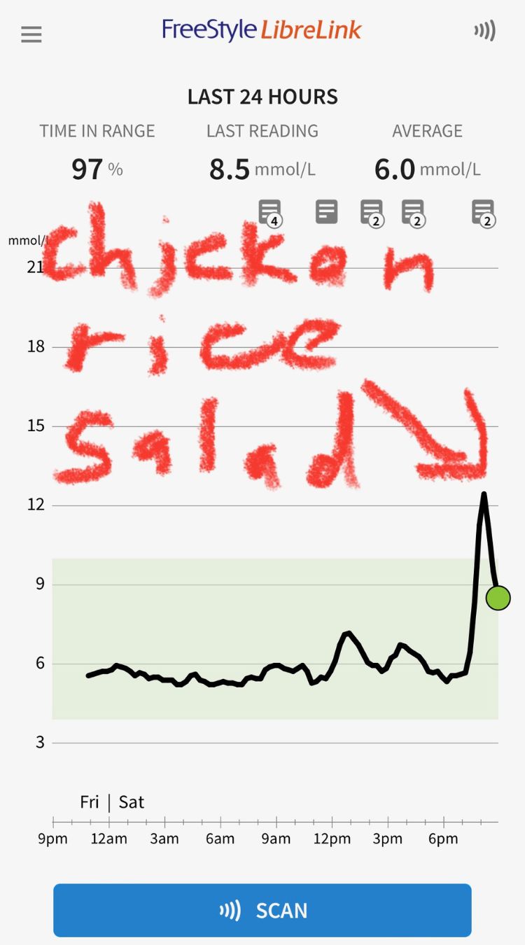 Sweet Ups and Downs: How This Silver Used a Glucose Monitor To Make Better Health Choices - Analysis based on modified chicken rice meal