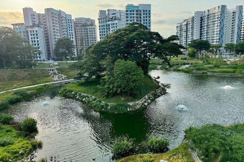 5 New Parks In Singapore To Visit Including Bidadari And Pasir Panjang - Bidadari Park