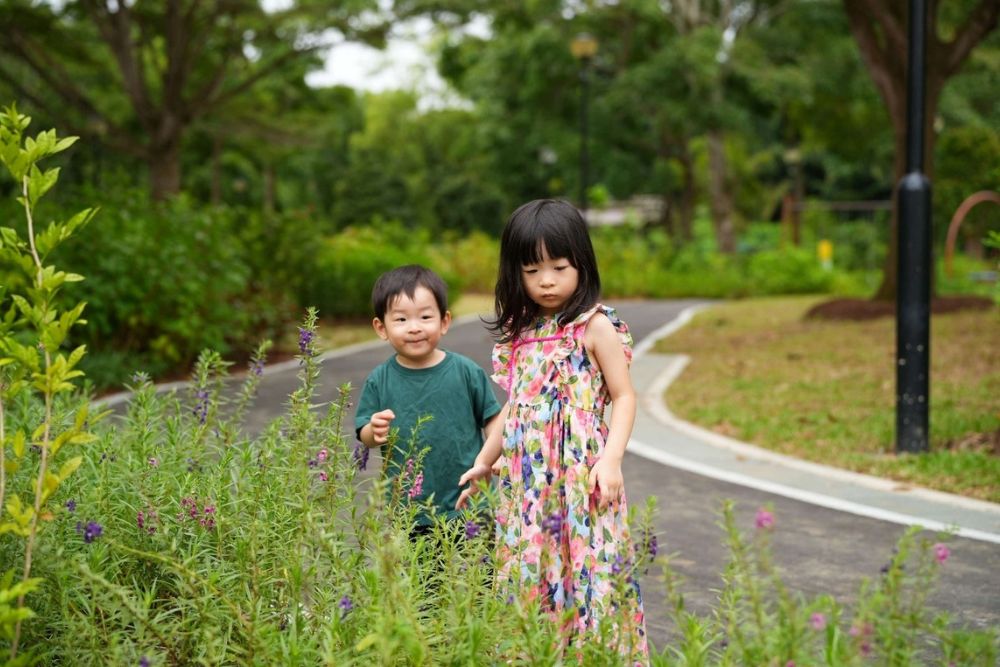 5 New Parks In Singapore To Visit Including Bidadari And Pasir Panjang - West Coast Park