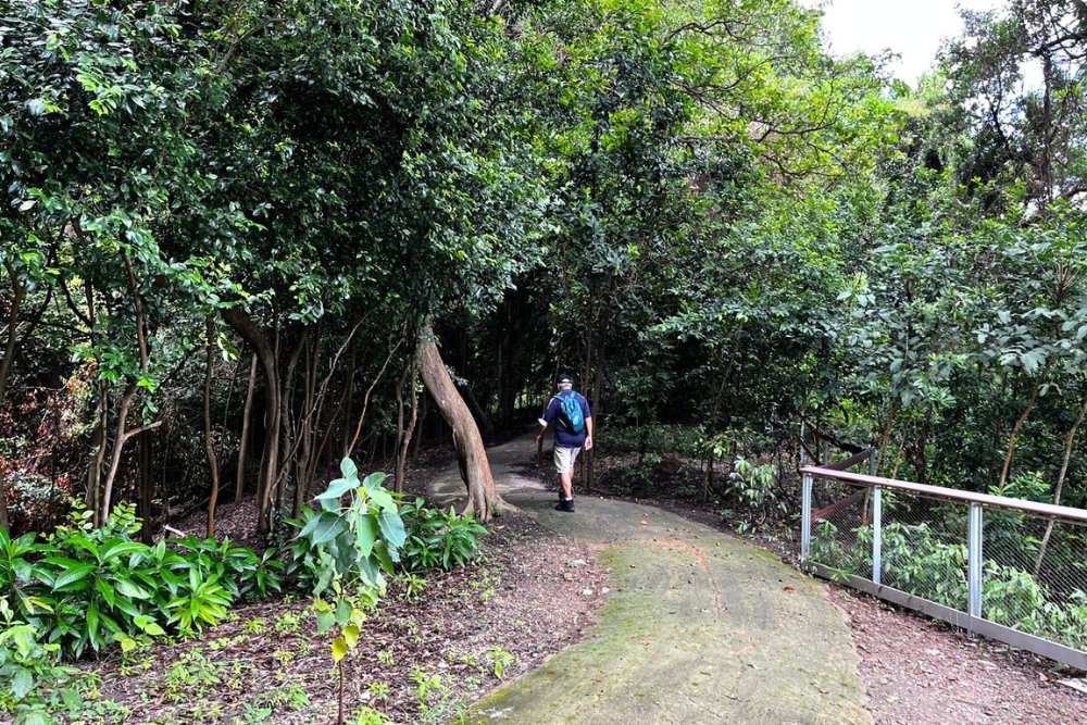 Sisters' Islands: A Guide To Exploring Singapore's First Marine Park and Big Sister’s Island - The Coastal Forest Trail