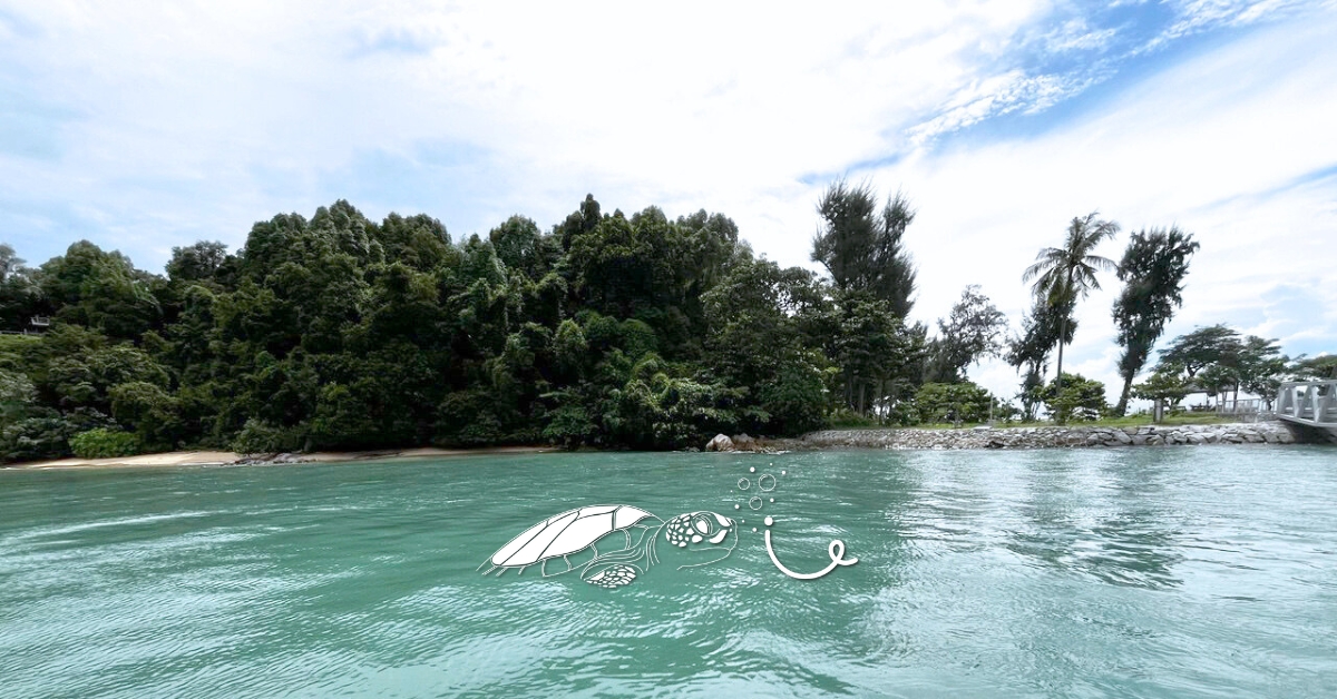 Sisters' Islands: A Guide To Exploring Singapore's First Marine Park and Big Sister’s Island