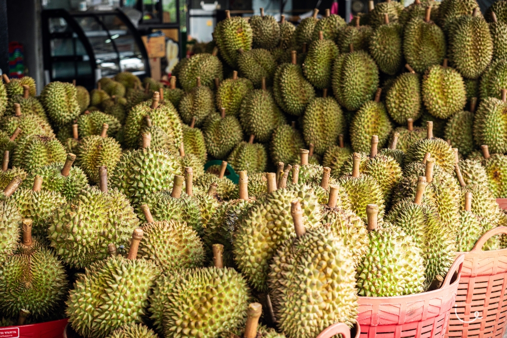 Singapore Micro-Seasons: From Queuing To Vouchers To Durians - Durians Seasons