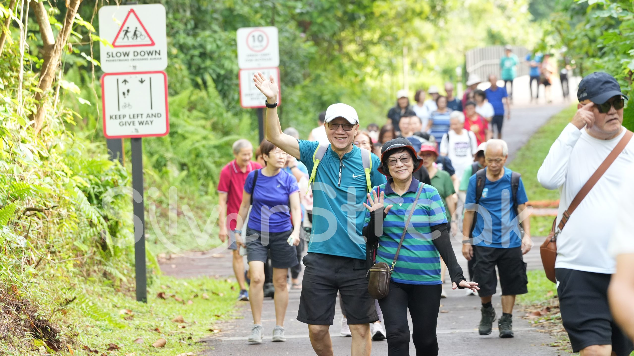Jalan-Jalan Kakis - Bukit Timah Hindhede Nature Park - 4