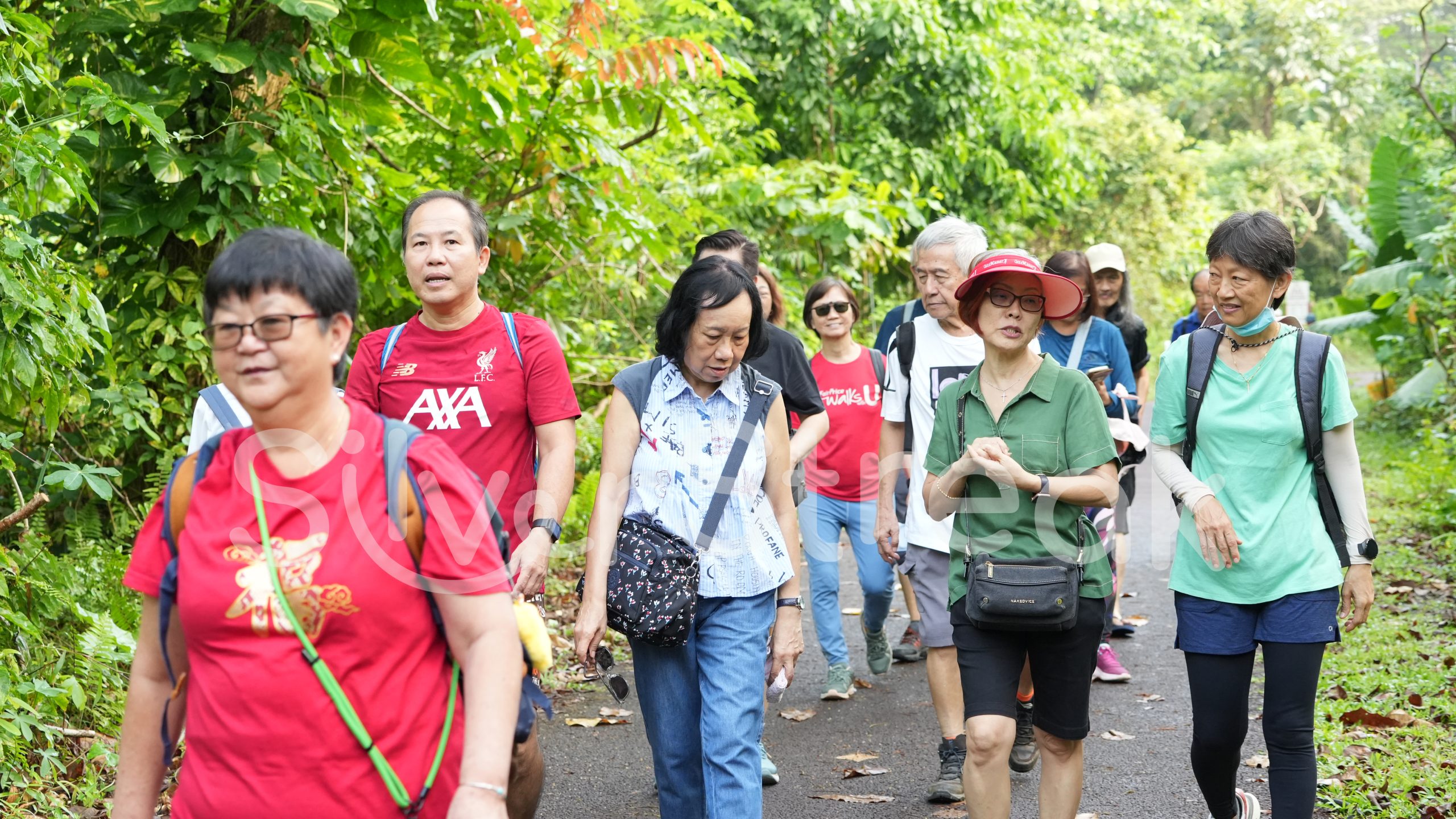 Jalan-Jalan Kakis - Bukit Timah Hindhede Nature Park - 7
