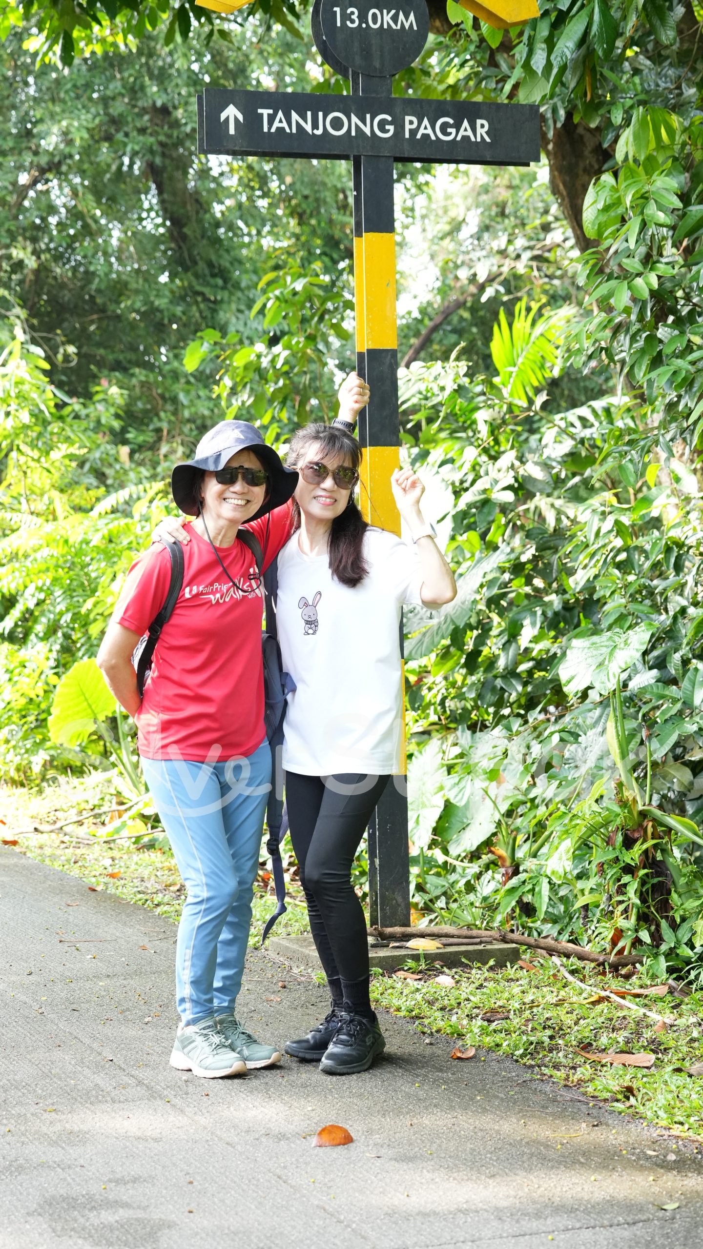 Jalan-Jalan Kakis - Bukit Timah Hindhede Nature Park - 9