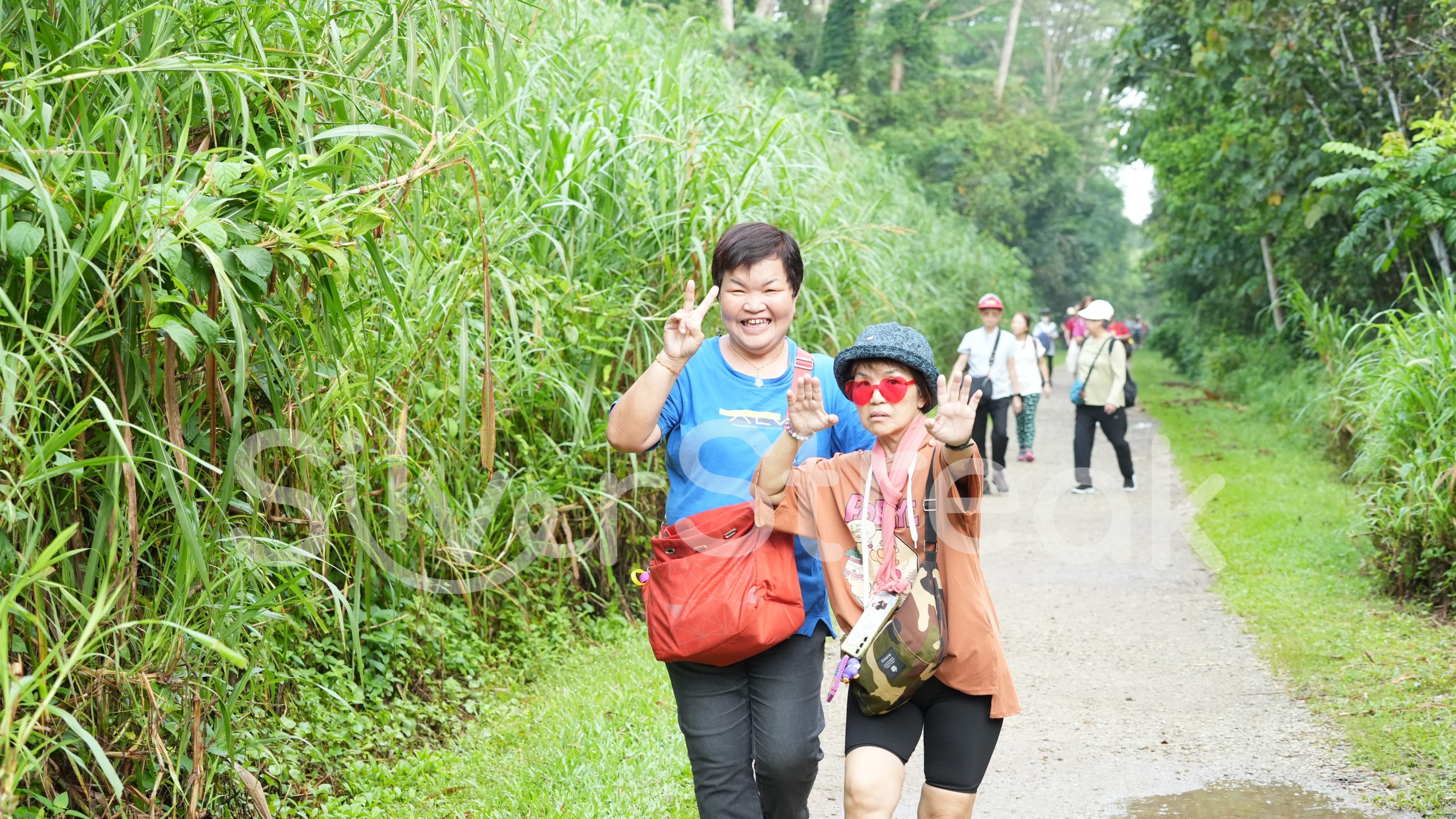 Jalan-Jalan Kakis - Bukit Timah Hindhede Nature Park - 13