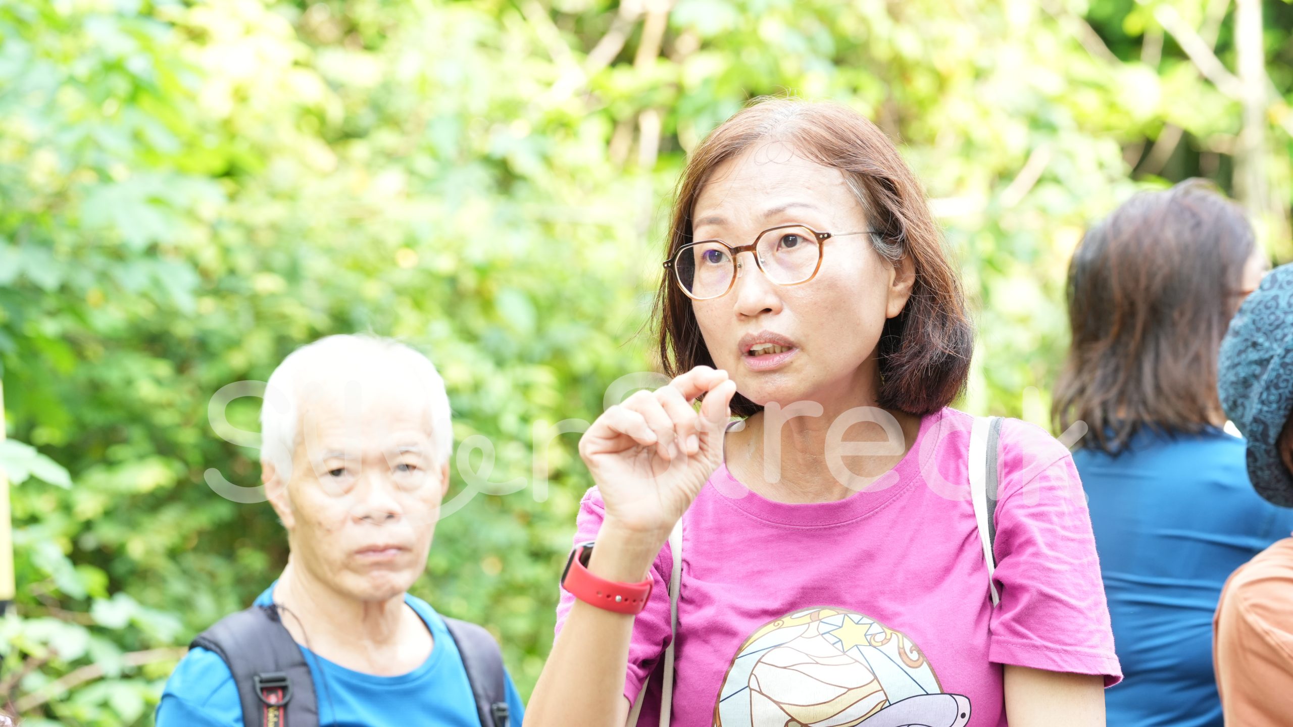 Jalan-Jalan Kakis - Bukit Timah Hindhede Nature Park - 14