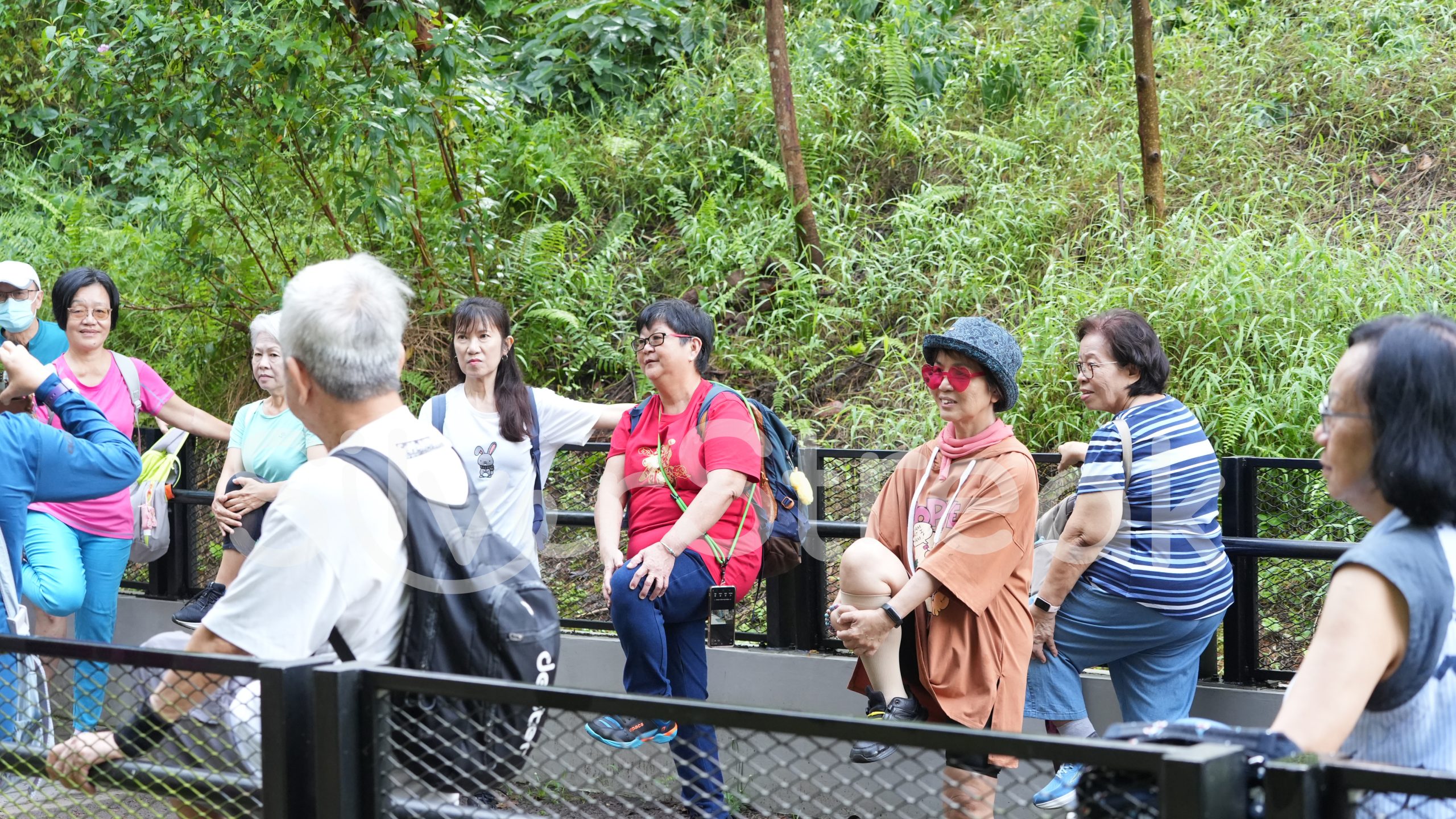 Jalan-Jalan Kakis - Bukit Timah Hindhede Nature Park - 3