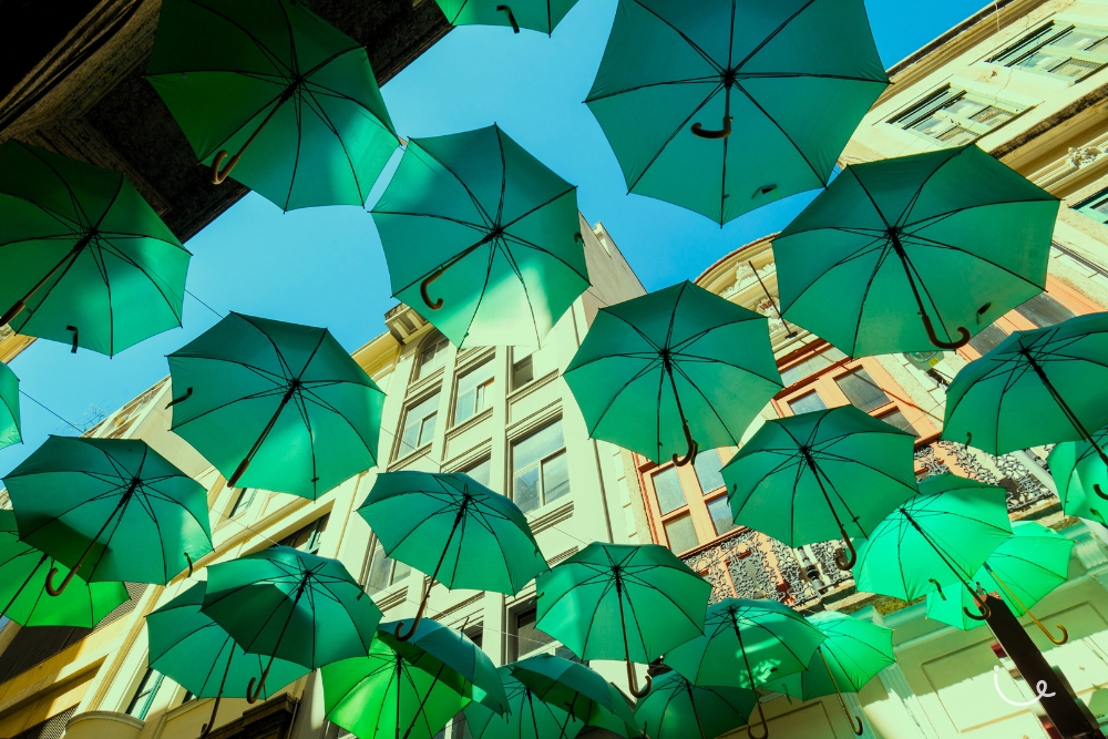 The Typical Singaporean: More Than Just Complaining Lah - Green Umbrellas