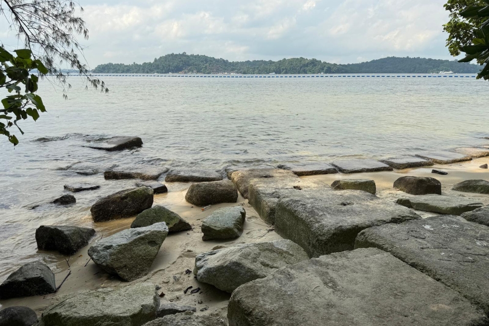 Coney Island: A Nature Respite For An Easy Hike In Punggol - Coney Island's Beach C