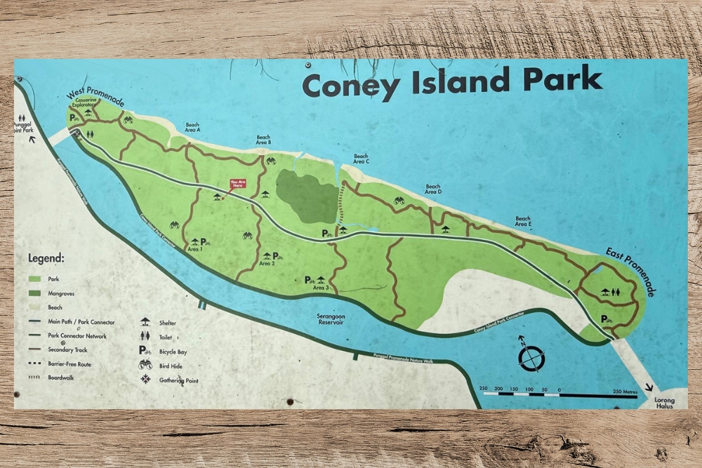 Coney Island: A Nature Respite For An Easy Hike In Punggol - Map of Coney Island