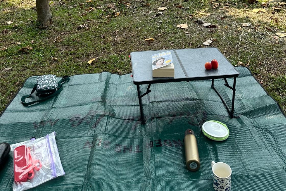Coney Island: A Nature Respite For An Easy Hike In Punggol - Picnic at Coney Island
