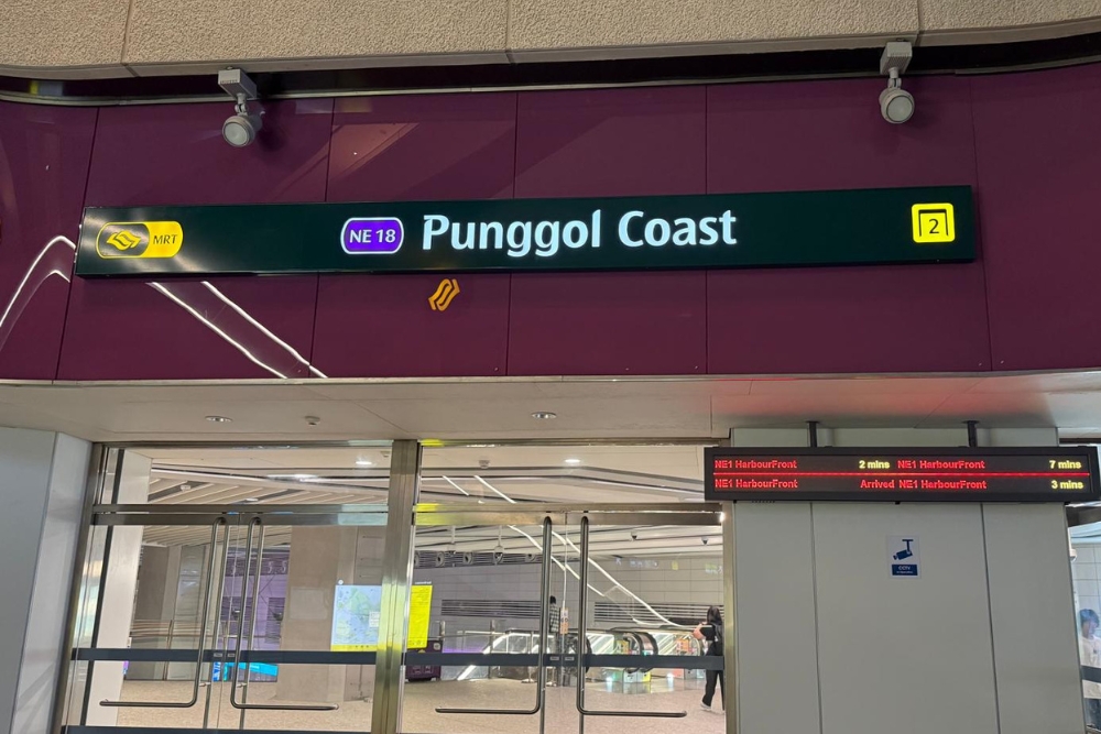 Coney Island: A Nature Respite For An Easy Hike In Punggol - Punggol Coast MRT station