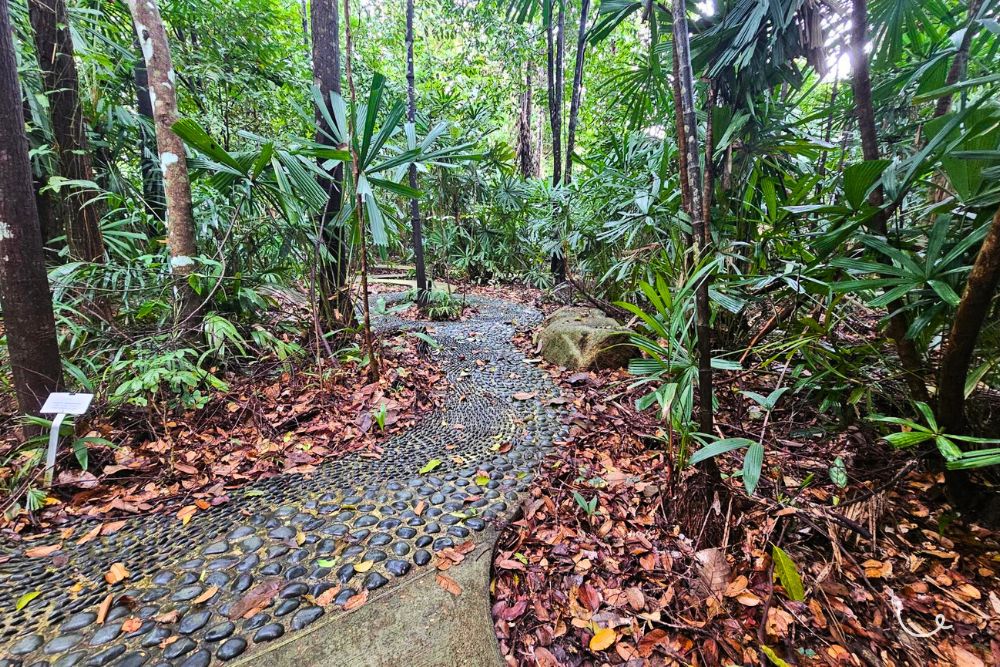 Hindhede Nature Park: Easy Hike With Photo Ops Of A Stunning Quarry Along The Rail Corridor - Walkway