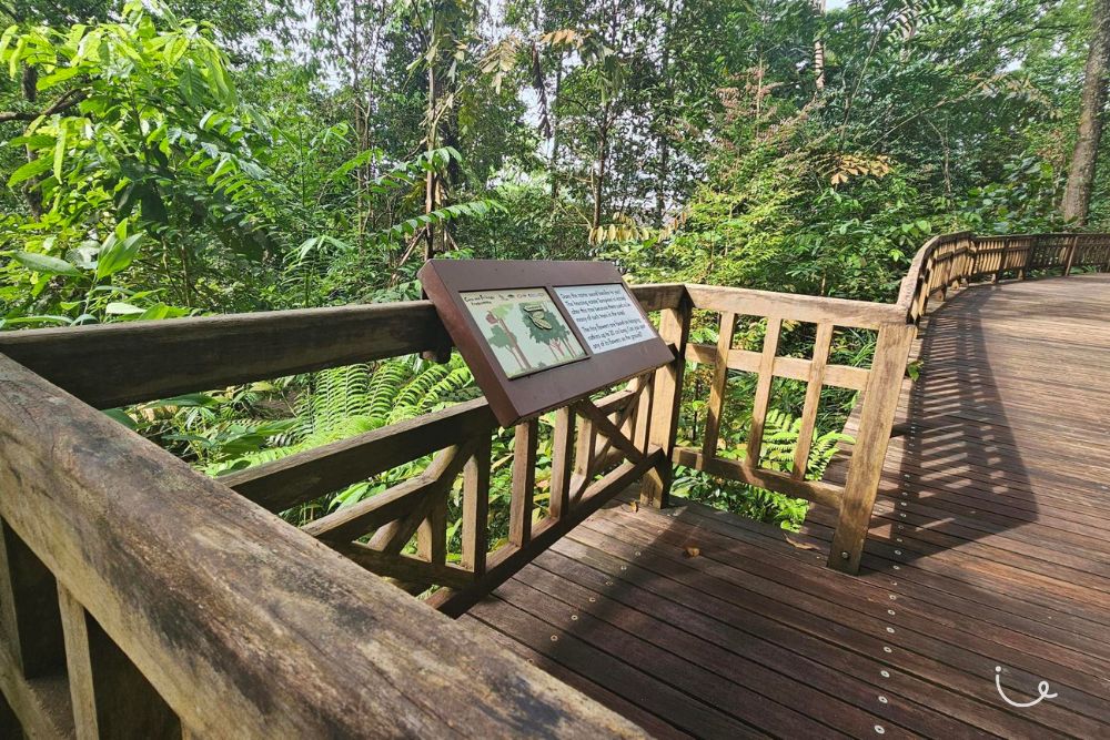 Hindhede Nature Park: Easy Hike With Photo Ops Of A Stunning Quarry Along The Rail Corridor - What to expect